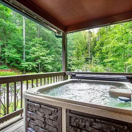 Black Bear Lookout By Avada Properties